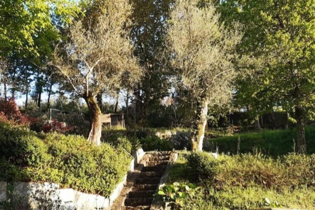 Cavado'S Heights Braga Διαμέρισμα Εξωτερικό φωτογραφία