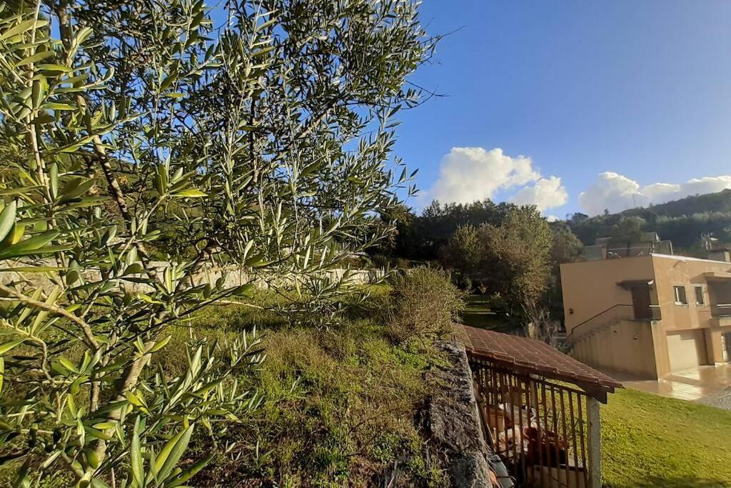 Cavado'S Heights Braga Διαμέρισμα Εξωτερικό φωτογραφία